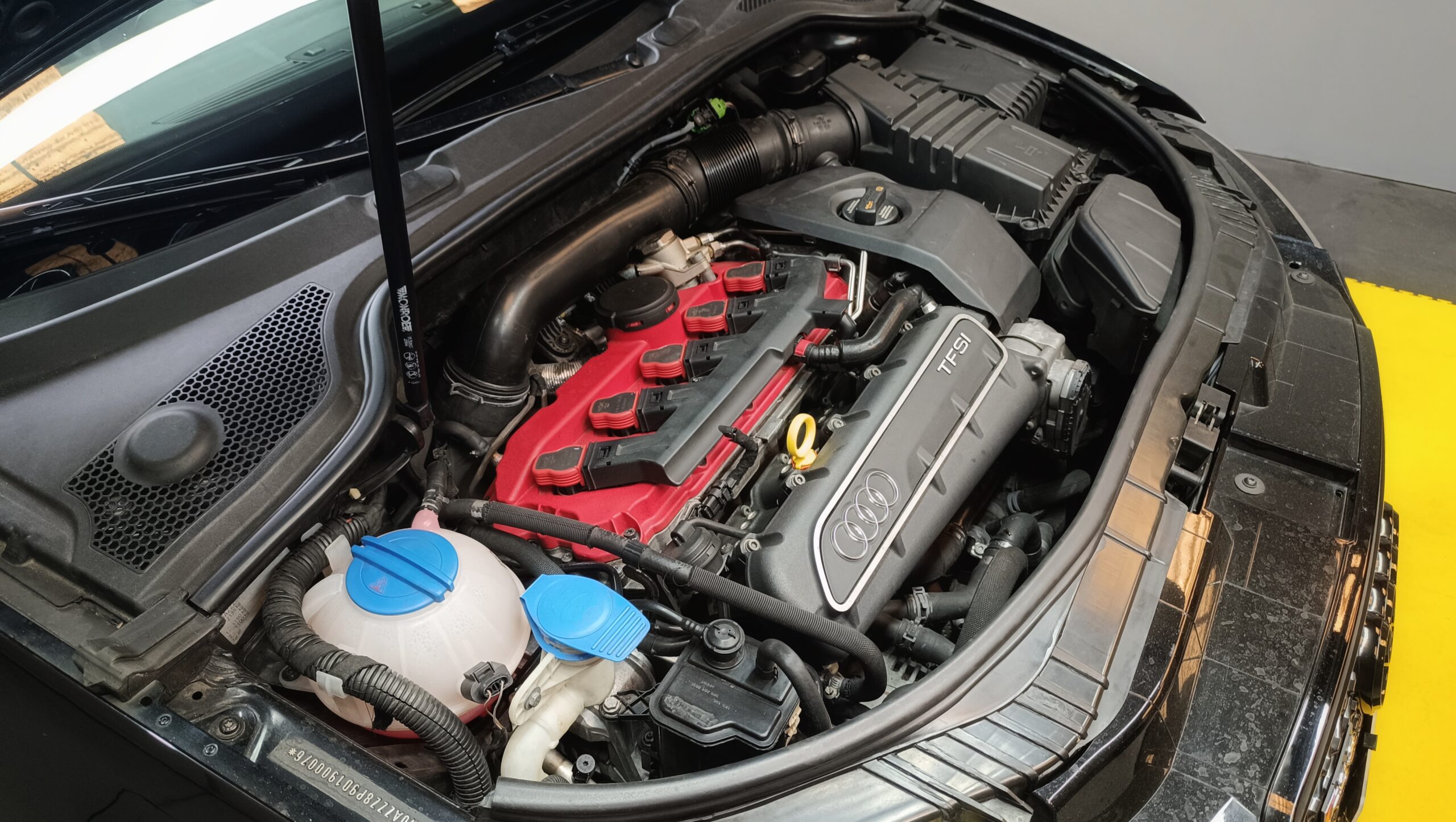 AUDI RS3 8P 2.5 340CV