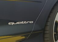 AUDI RS3 8P 2.5 340CV